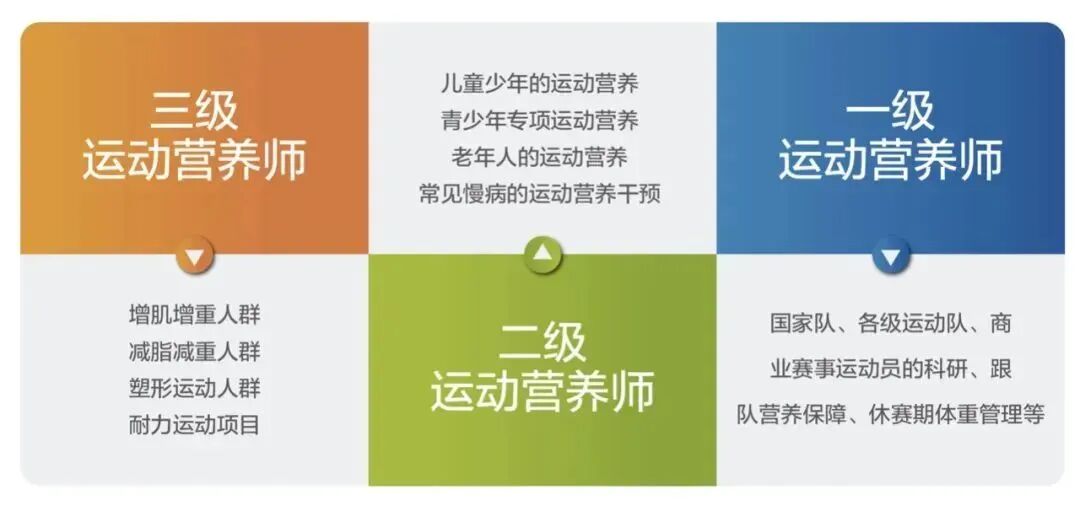 2025年10-12月(新国职)运动营养师(高级)职业培训开班计划!(图2) 2025年10-12月(新国职)运动营养师(高级)职业培训开班计划!(图2)