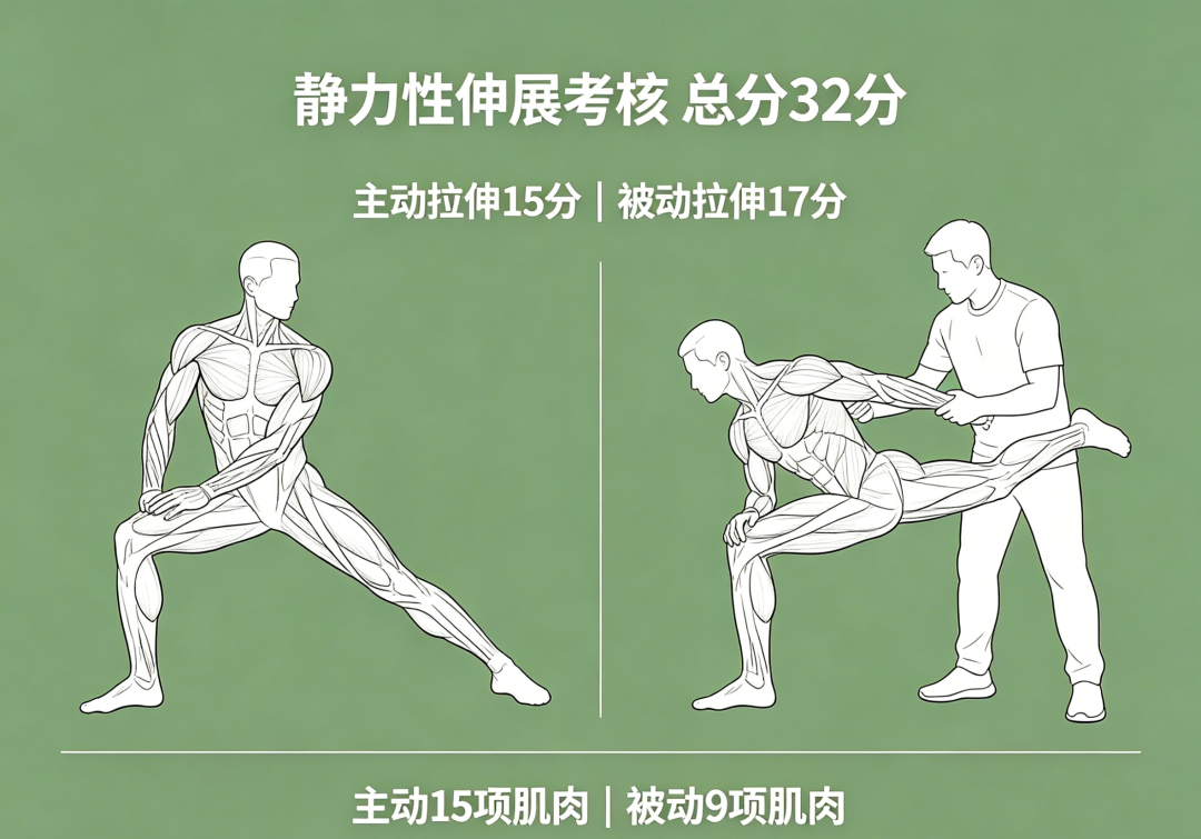 2026年初级健身教练实操考试全攻略|4大科目+标准+零分雷区,备考必看(图3) 2026年初级健身教练实操考试全攻略|4大科目+标准+零分雷区,备考必看(图3)